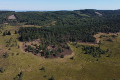 Agrandir l'image 1 sur 5, fenêtre modale