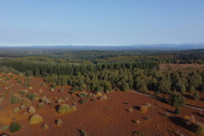 Agrandir l'image 3 sur 5, fenêtre modale