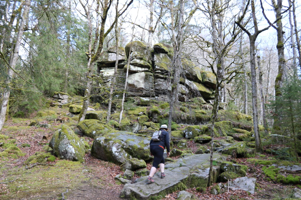 Agrandir l'image, fenêtre modale