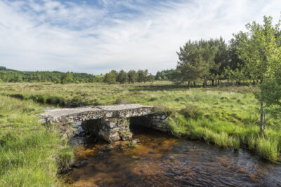 Agrandir l'image 2 sur 5, fenêtre modale