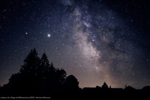 Ciel étoilé avec voie lactée et forêt