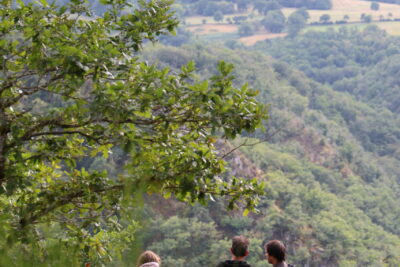 Agrandir l'image 11 sur 12, fenêtre modale