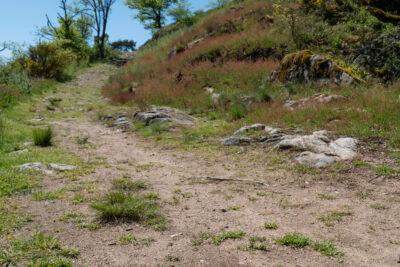 Agrandir l'image 10 sur 12, fenêtre modale