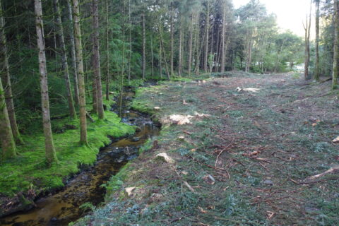 GEMAPI Haute-Corrèze communaute eau sylviculture