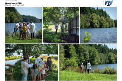 Agrandir l'image 11 sur 12, fenêtre modale