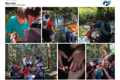 Agrandir l'image 9 sur 12, fenêtre modale