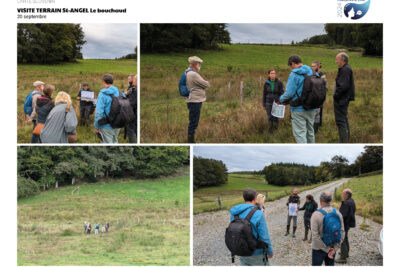 Agrandir l'image 3 sur 12, fenêtre modale