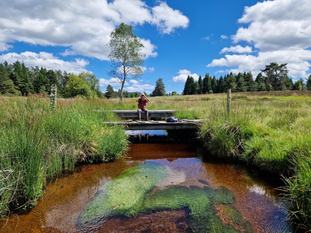 Agrandir l'image, fenêtre modale