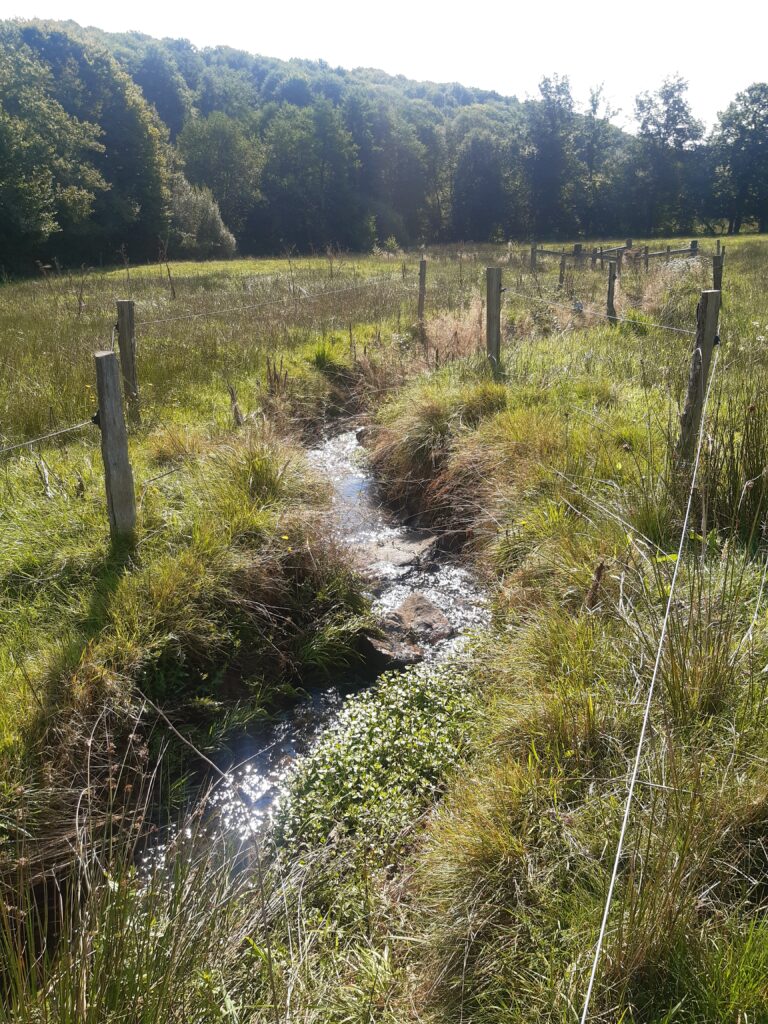 Agrandir l'image, fenêtre modale